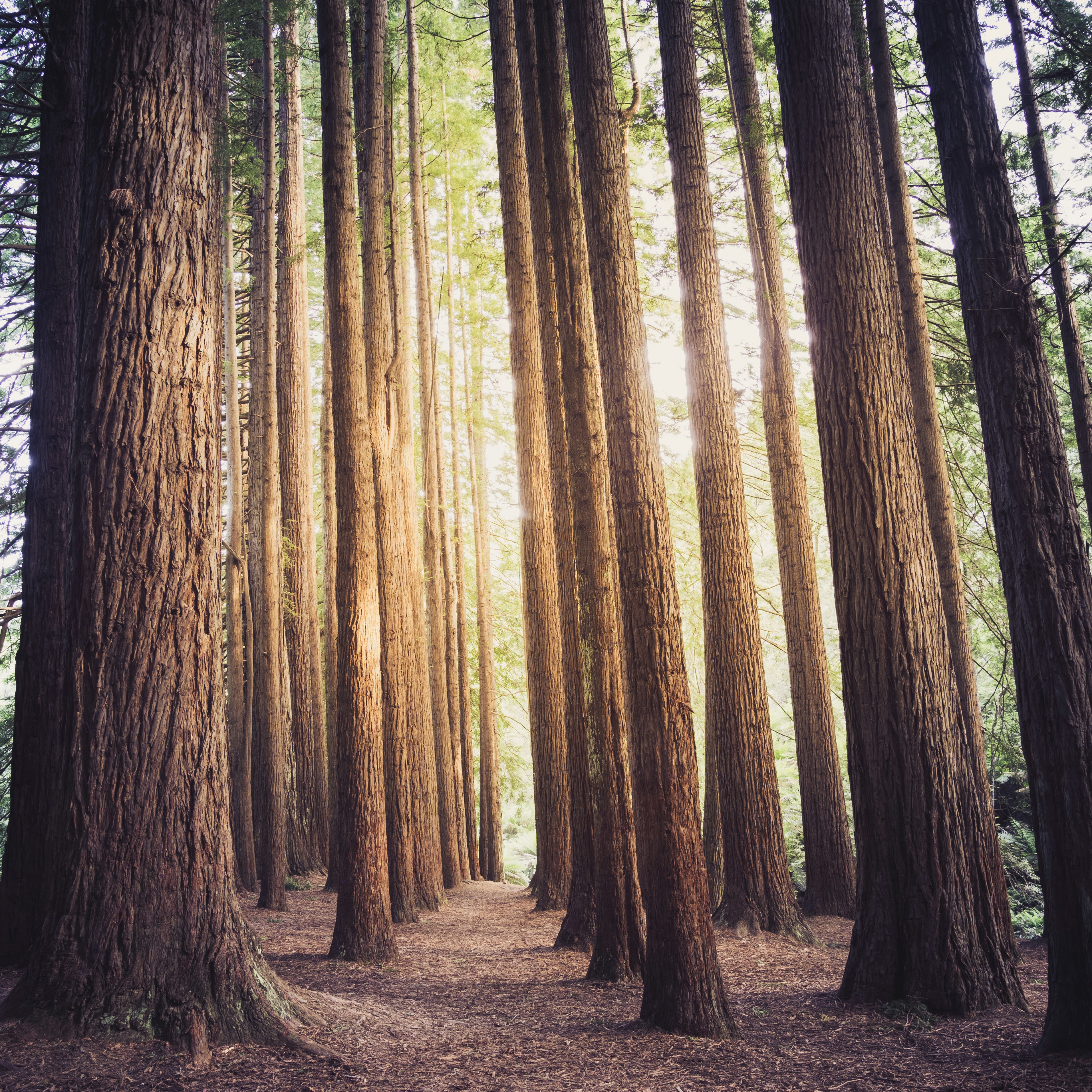 ben-ackerman-xQAE22N7QjQ-unsplash